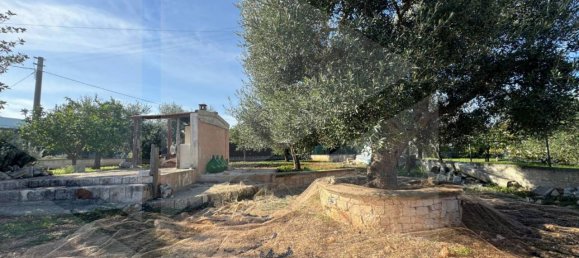 3-Zimmer Villa in Monopoli, Italy, Nr. 20150 16