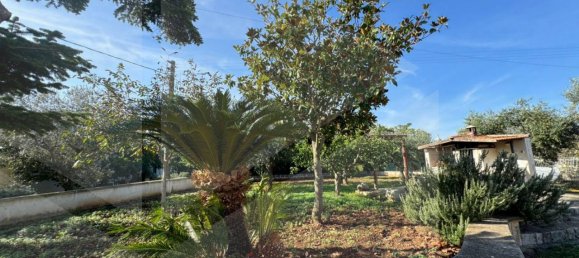 3-Zimmer Villa in Monopoli, Italy, Nr. 20150 15