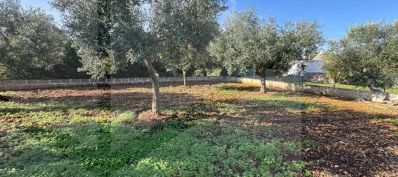 3-Zimmer Villa in Monopoli, Italy, Nr. 20150 17