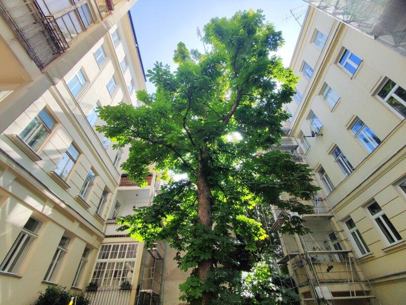 3 rooms Apartment in Margareten, Austria No. 233621