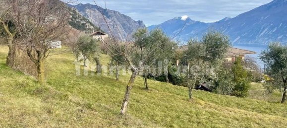 Terrain à Tremosine sul Garda, Italy 3000m² No. 264715 15