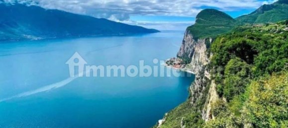 Terrain à Tremosine sul Garda, Italy 3000m² No. 264715 7
