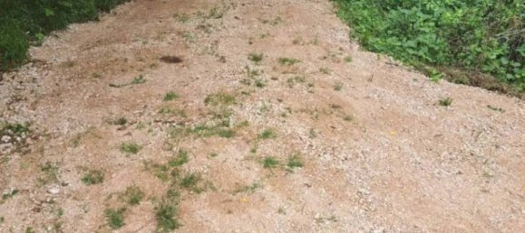 5000m² Land in Maenza, Italy No. 292194 3