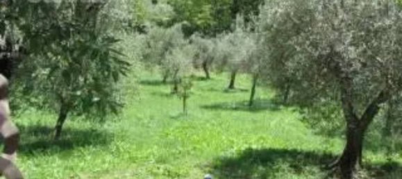 5000m² Land in Maenza, Italy No. 292194 13
