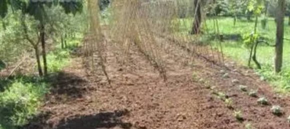 5000m² Land in Maenza, Italy No. 292194 8