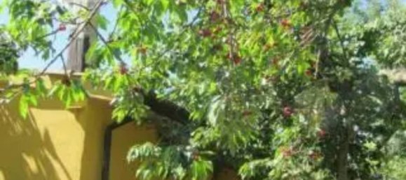 5000m² Land in Maenza, Italy No. 292194 4