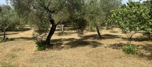 5000m² Land in Maenza, Italy No. 292194 10