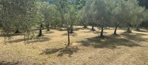 5000m² Land in Maenza, Italy No. 292194 9