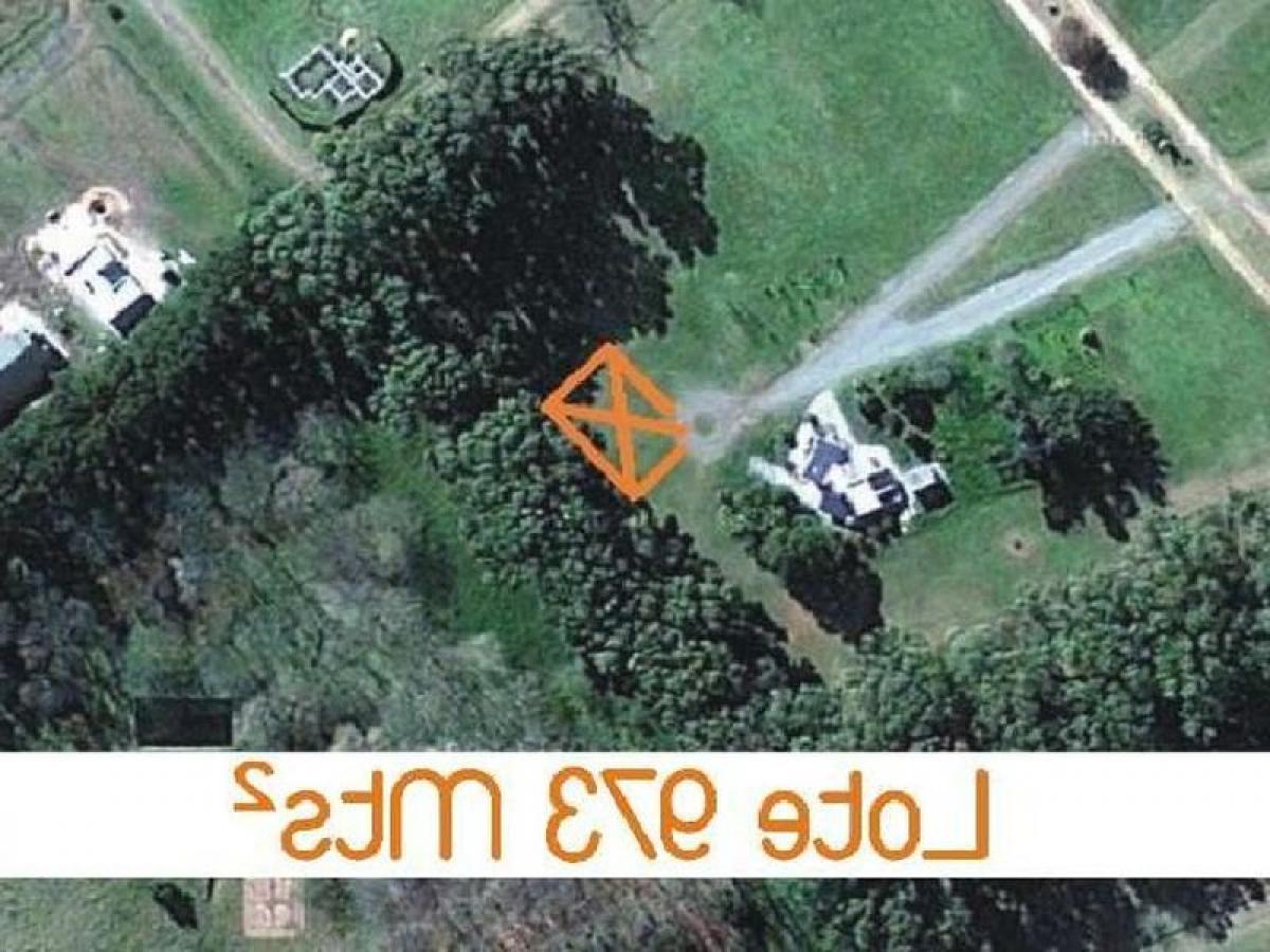  Land in Buenos Aires, Argentina No. 117012