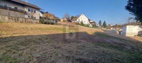 659m² Land in Rhein-Neckar-Kreis, Germany No. 288106 2