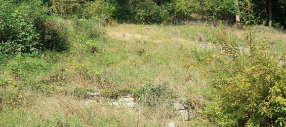 5غرفة منزل في Rottweil, Germany رقم 81387 11