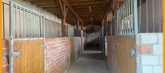 10 غرف نوم منزل في Schwalm-Eder, Germany رقم 172242 9