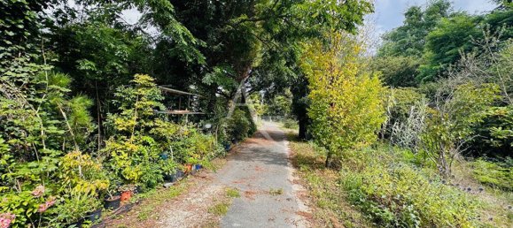 3 bedrooms House in Maves, France No. 255811 16