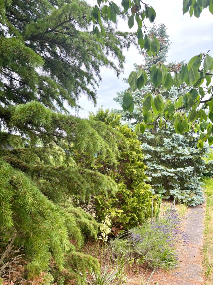 Terreno en Brandenburg an der Havel, Germany No. 258198