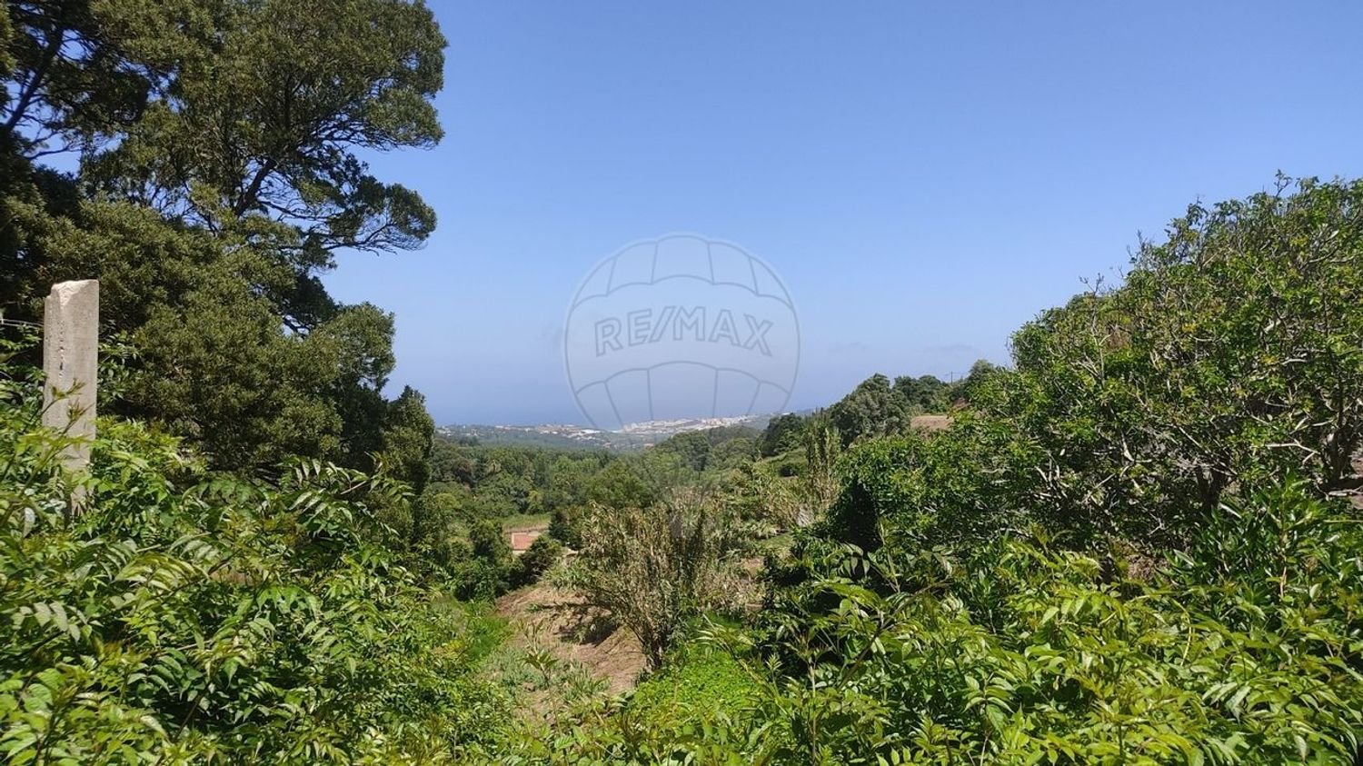 8920m² Land in Colares, Portugal No. 84249