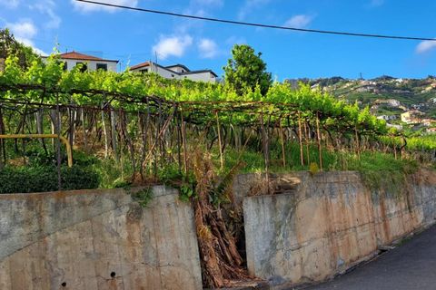 520m² Land in Camara de Lobos, Portugal No. 244785