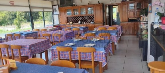 555m² Commercial property in Penafiel, Portugal No. 56320 5