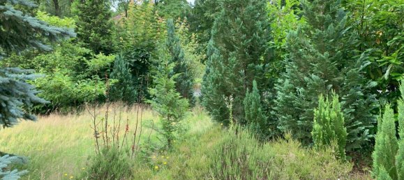 Terrain à Luneburg, Germany No. 189241 4