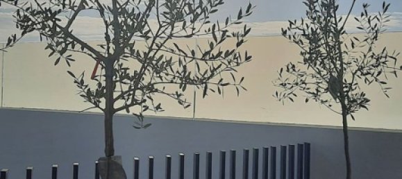 4 bedrooms House in Dolores, Spain No. 155413 9