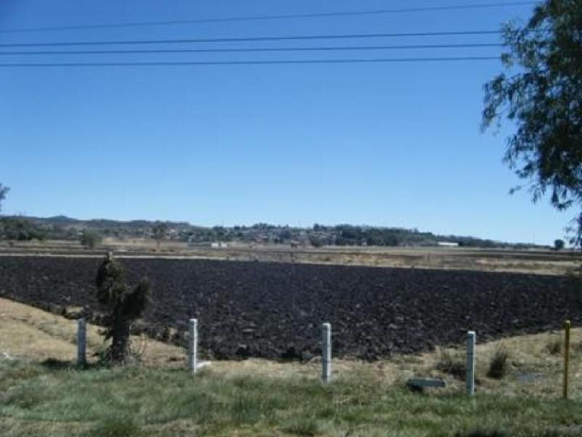 Grundstück in San Francisco Soyaniquilpan, Mexico, Nr. 205849