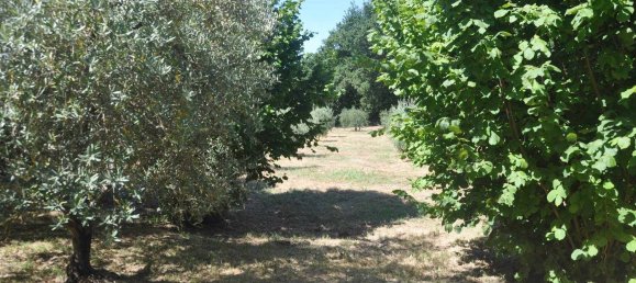 6 rooms House in Montescudaio, Italy No. 273146 27