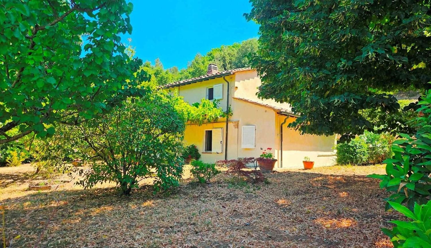 6 rooms House in Montescudaio, Italy No. 273146
