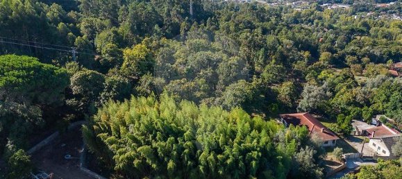 1050m² Land in Moure, Portugal No. 33223 11