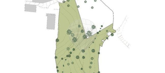 1050m² Land in Moure, Portugal No. 33223 9