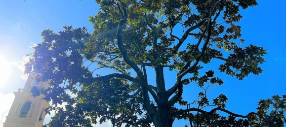 6غرفة شقة في Recco, Italy رقم 113704 11