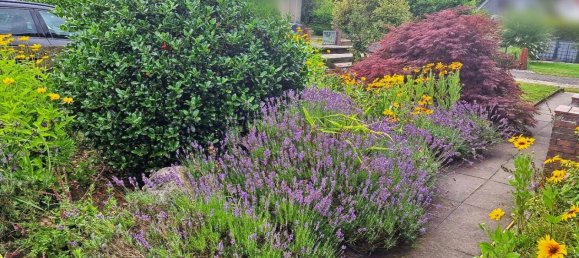 4-Zimmer Stadthaus in Lübeck, Germany, Nr. 37421 2