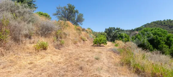  Land in Estepona, Spain No. 177725 5