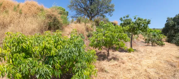  Land in Estepona, Spain No. 177725 7