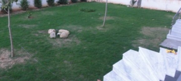 Недвижимость с 3 спальнями в Терми, Греция № 2491 11