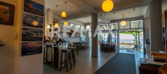 1016m² Hotel in Mouresi, Greece No. 300 3