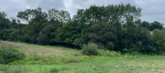  قطعة أرض في Mayenne, France 14500متر مربع رقم 288314 2