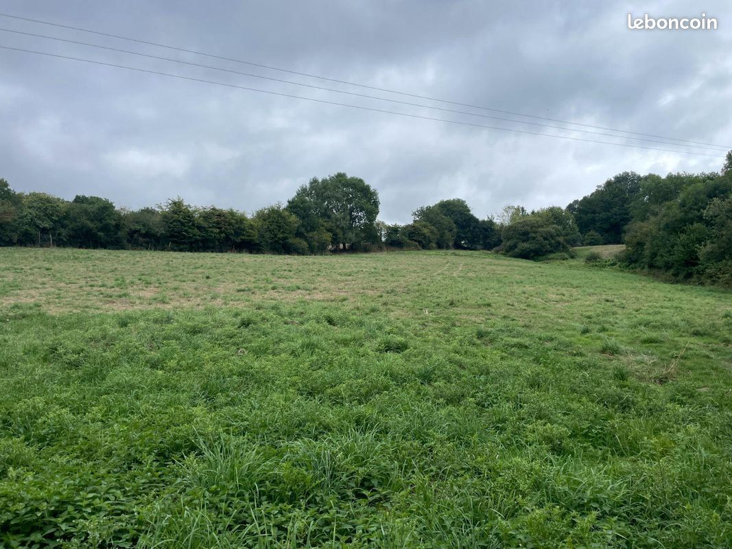  قطعة أرض في Mayenne, France 14500متر مربع رقم 288314