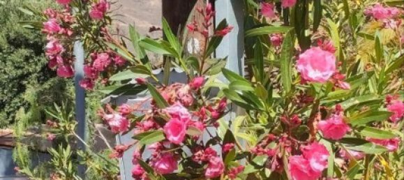 2 Schlafzimmer Haus in Santa Lucia De Tirajana, Spain, Nr. 149183 7