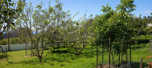 4 Schlafzimmer Villa in Calheta, Portugal, Nr. 117924 50