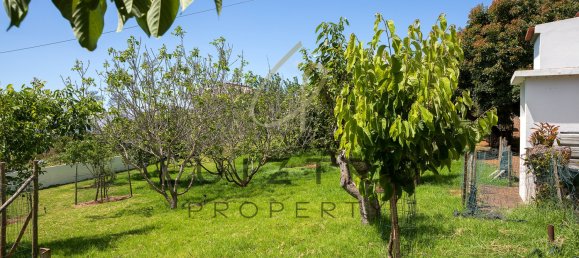 4 Schlafzimmer Villa in Calheta, Portugal, Nr. 117924 48