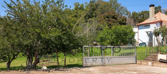 4 Schlafzimmer Villa in Calheta, Portugal, Nr. 117924 49