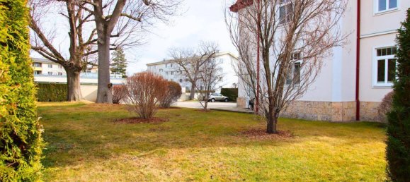 11غرفة فيلا في Neunkirchen, Austria رقم 129813 15