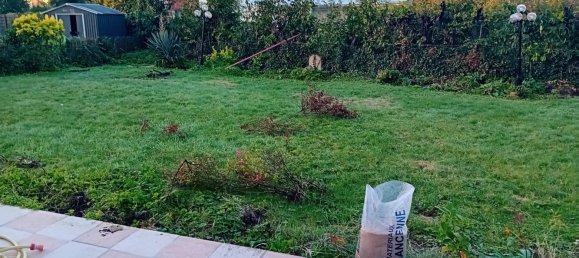 Дом с 4 спальнями в Рубе, Франция № 215068 9