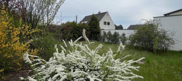 2غرفة منزل في Felixdorf, Austria رقم 173163 4