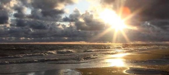 2 rooms Apartment in Vorpommern-Greifswald, Germany No. 221418 11