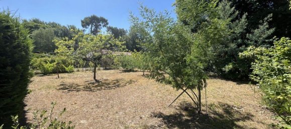 2 bedrooms Villa in Breuillet, France No. 294615 20