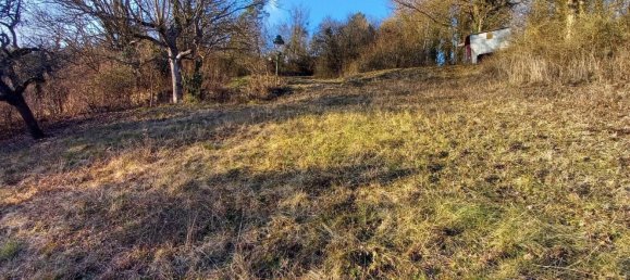 7-Zimmer Haus in Würzburg, Germany, Nr. 10030 8