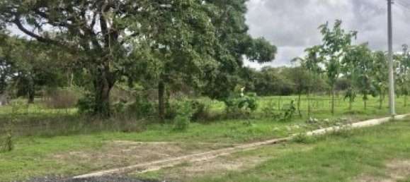  Land in Liberia, Costa Rica No. 1462 6