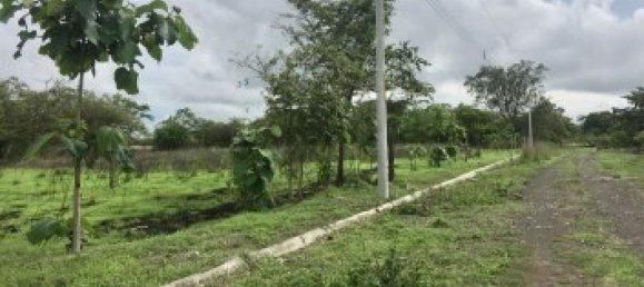  Land in Liberia, Costa Rica No. 1462 4