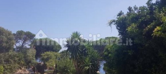 4 غرف نوم شقة في Varazze, Italy رقم 207346 10