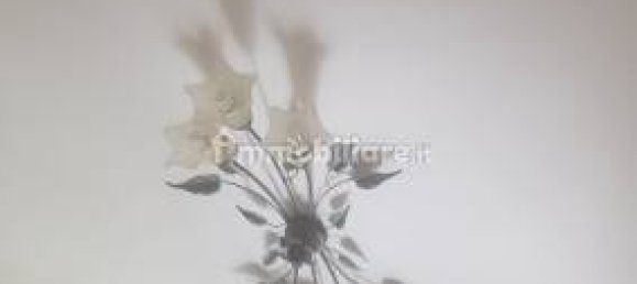 4 غرف نوم شقة في Varazze, Italy رقم 207346 16